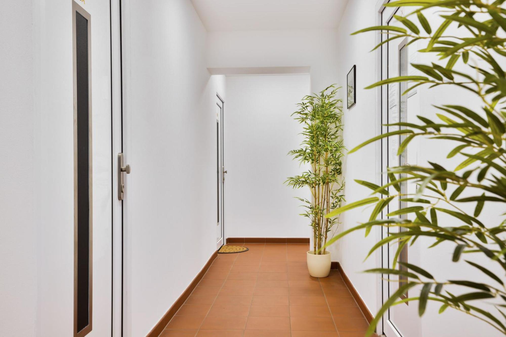 Apartmany Decin Exterior foto
